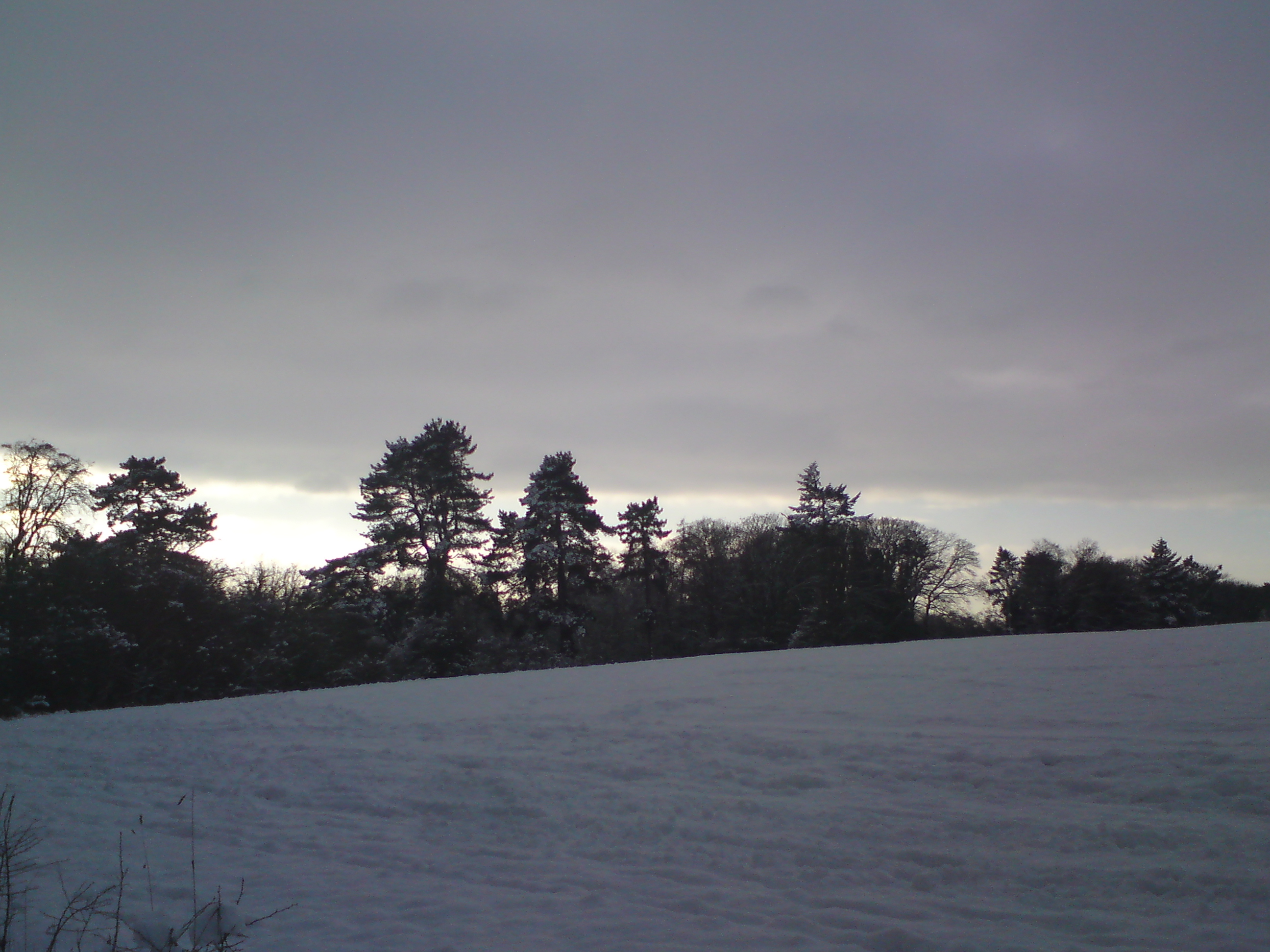 DSC01249