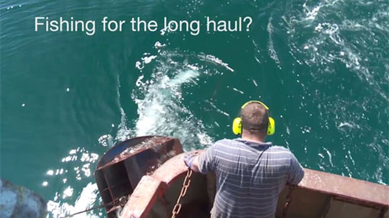 image for Fishing for the Long Haul?