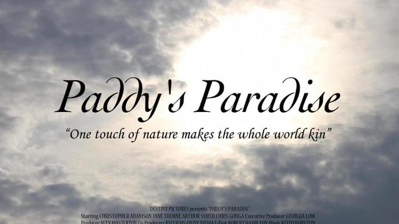 image for Paddy's Paradise