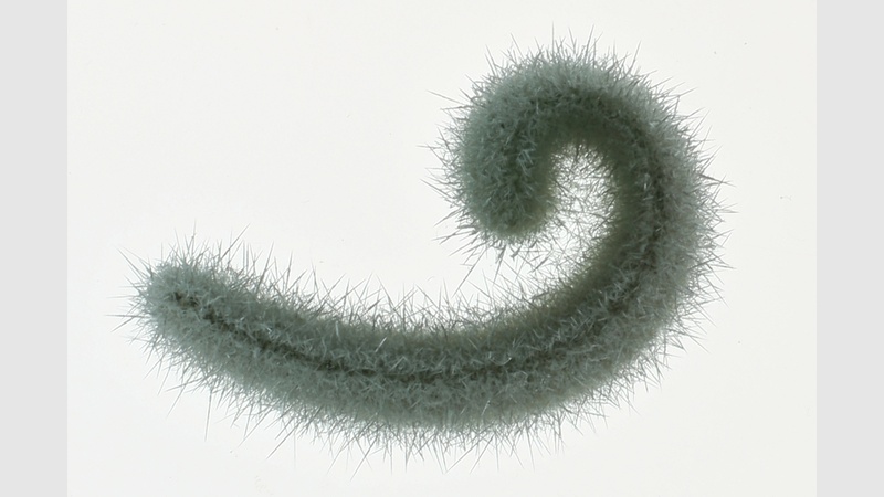 image for Chemistry