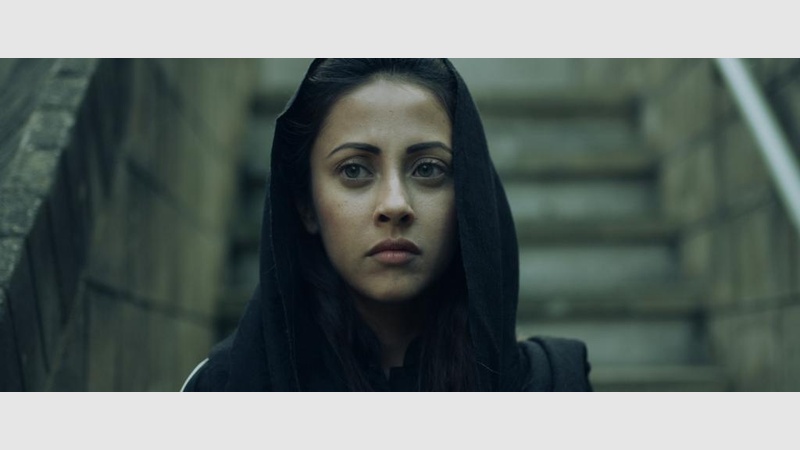 image for Butterfly Ashes Trailer (2014)