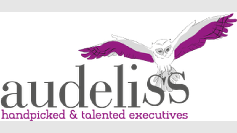 image for Audeliss Anniversary Video