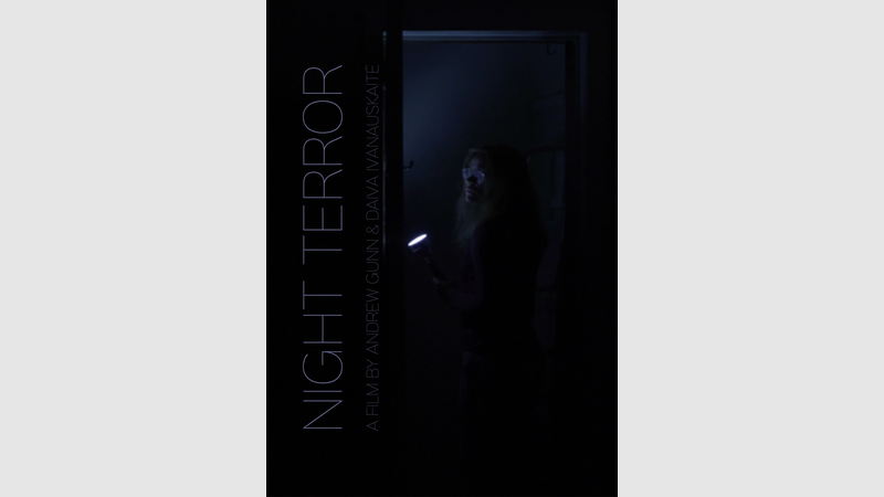 image for Night Terror