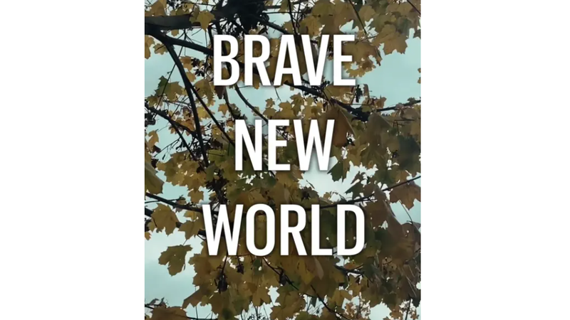 image for Brave New World