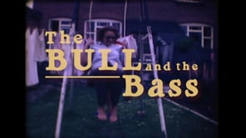 image for The Bull & The Bass