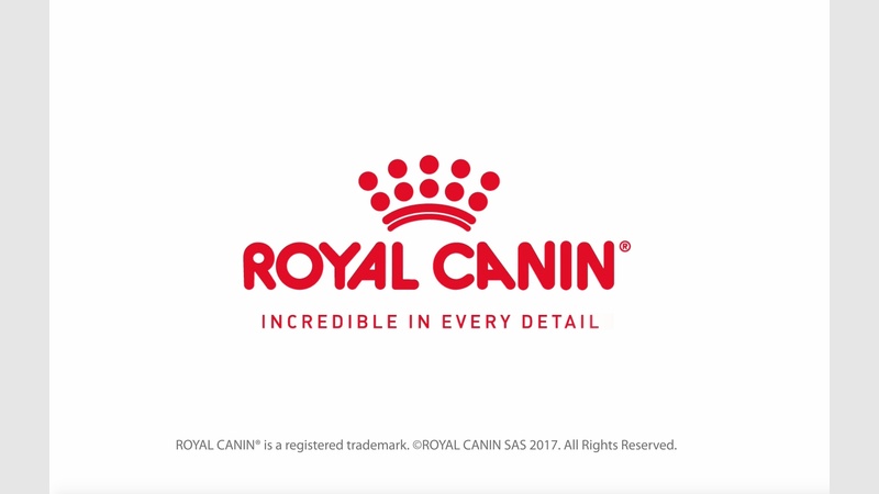 image for Royal Canin