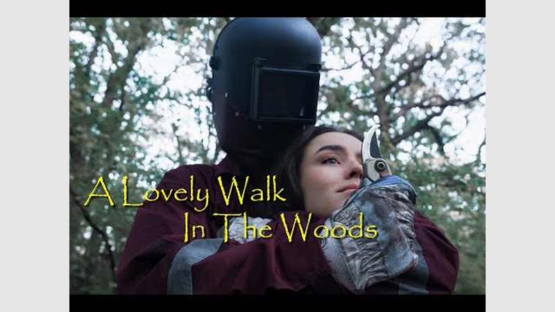 image for A Lovely Walk in the Woods
