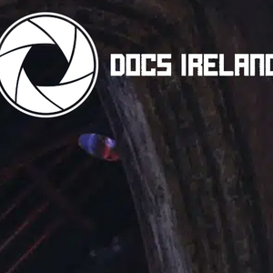 Image for Docs Ireland 6