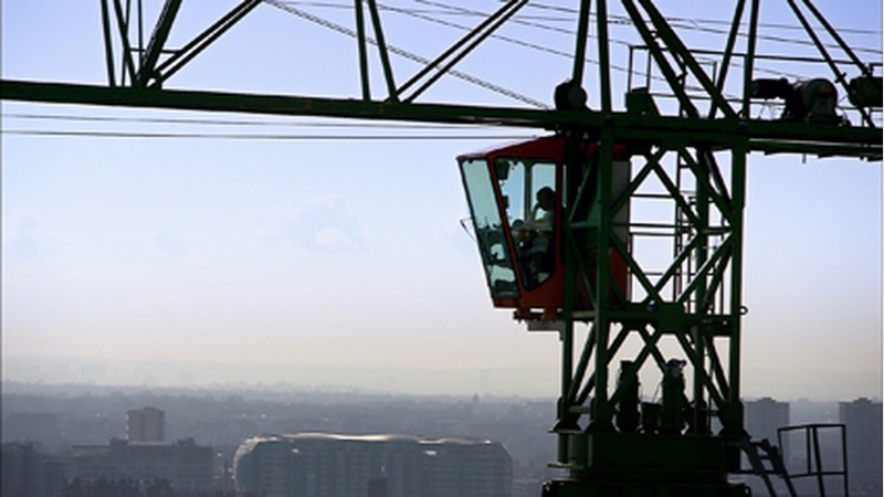 image for The Solitary Life of Cranes