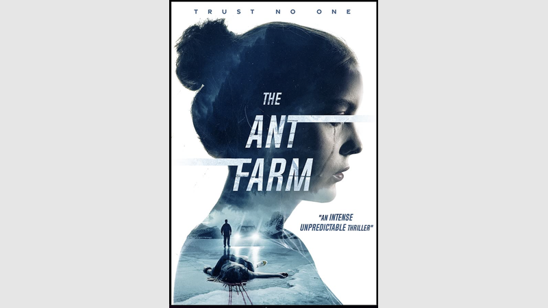 image for The Ant Farm