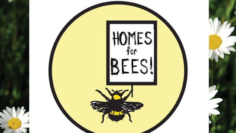 image for Homes For BEES!