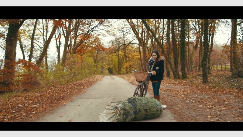 image for Timber