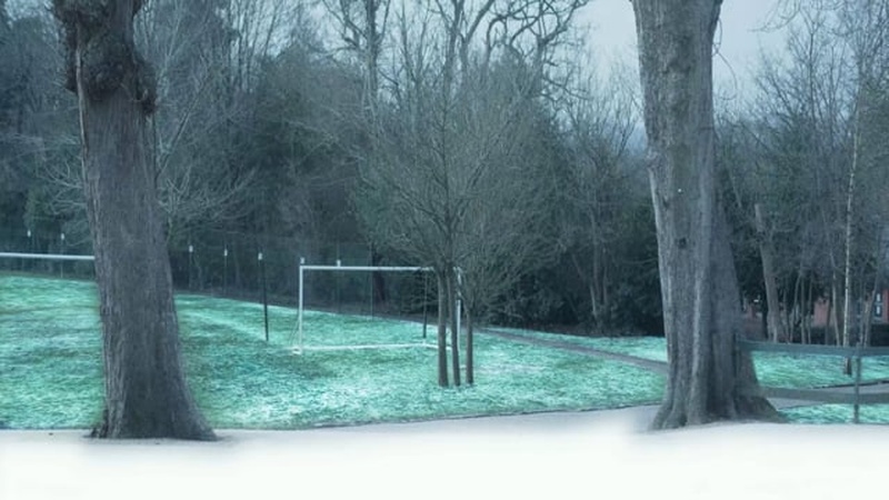 image for Grave