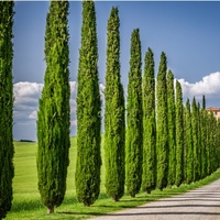 Photo 1 for Alessandro Aglietti