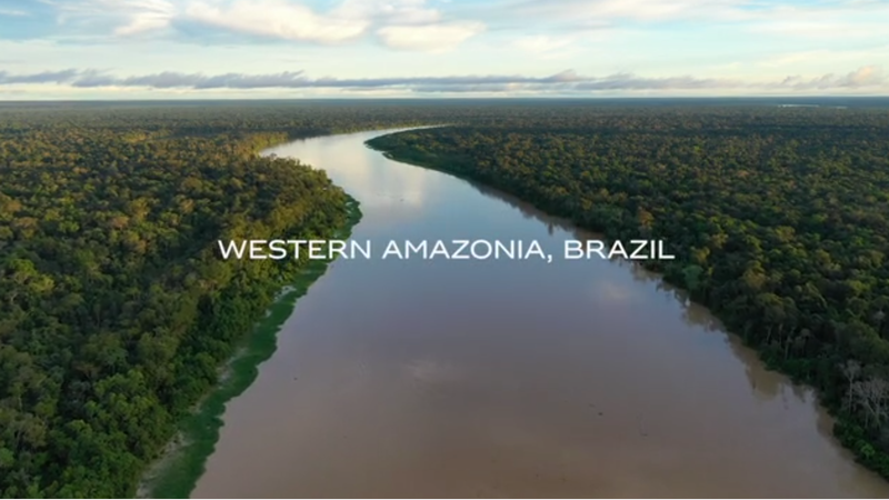 image for Rolex Awards - Amazonas