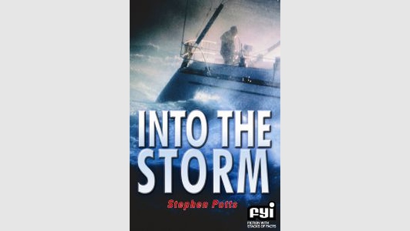 image for Into The Storm