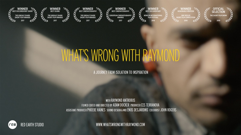 image for What's Wrong With Raymond