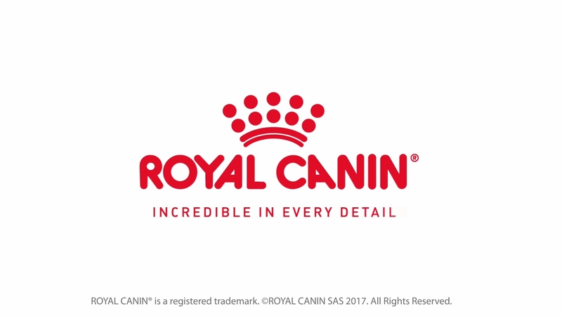 image for Royal Canin