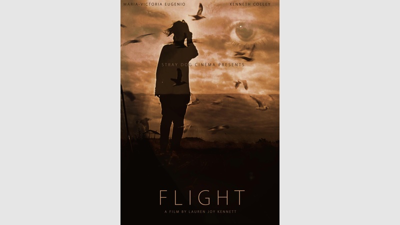 image for Flight