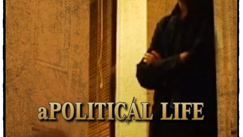 image for A Political Life