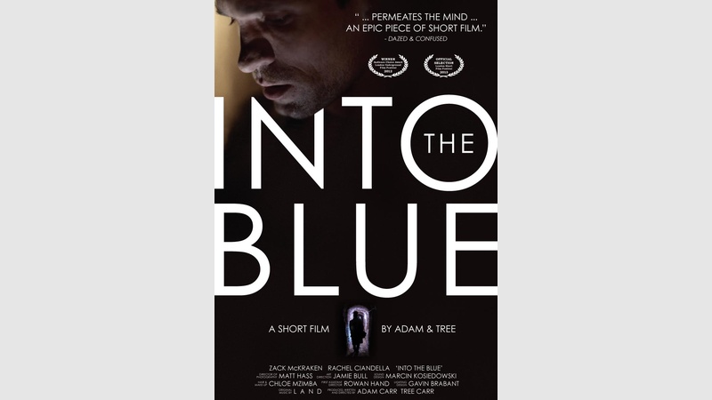 image for INTO THE BLUE