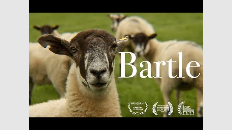 image for Bartle