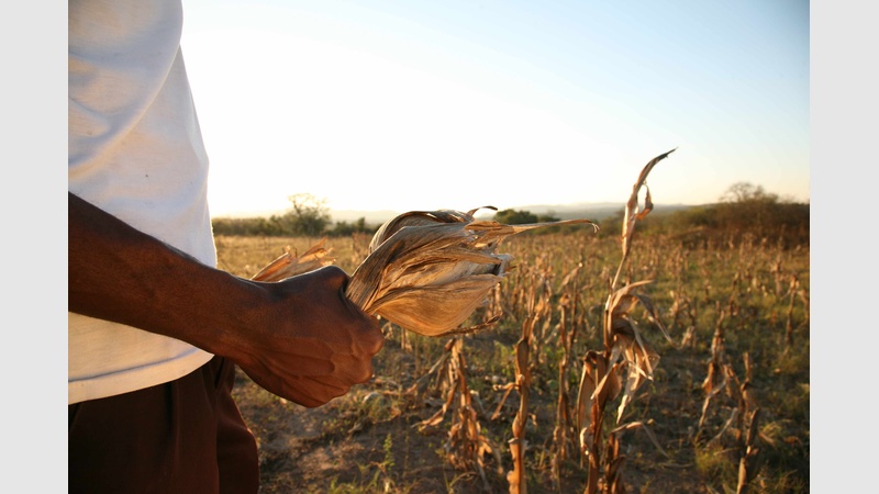 image for The Hunger Season 