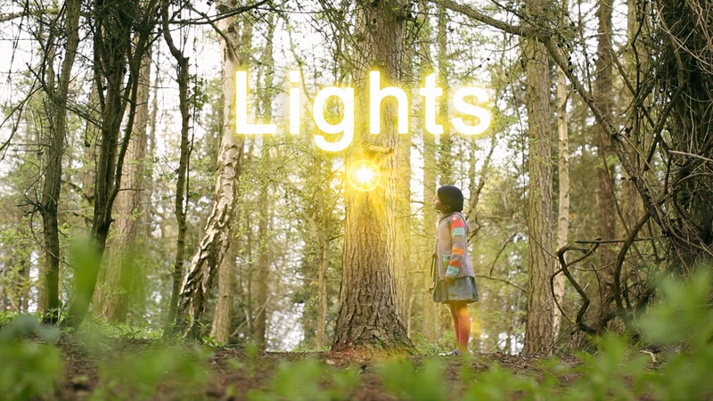 image for Lights