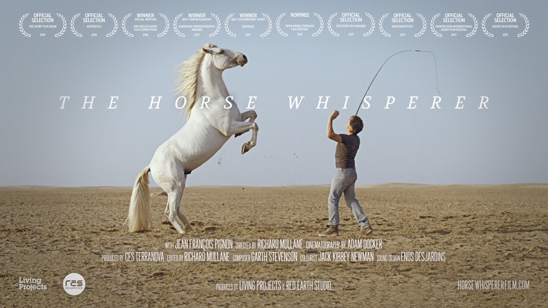 image for The Horse Whisperer