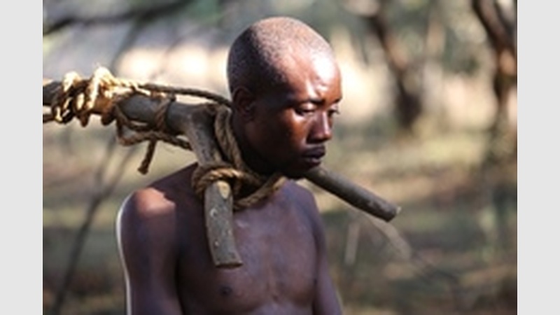 image for The Lost Diary Of Dr. Livingstone