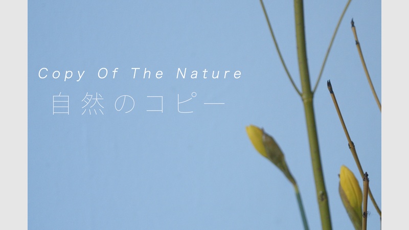 image for Copy Of The Nature