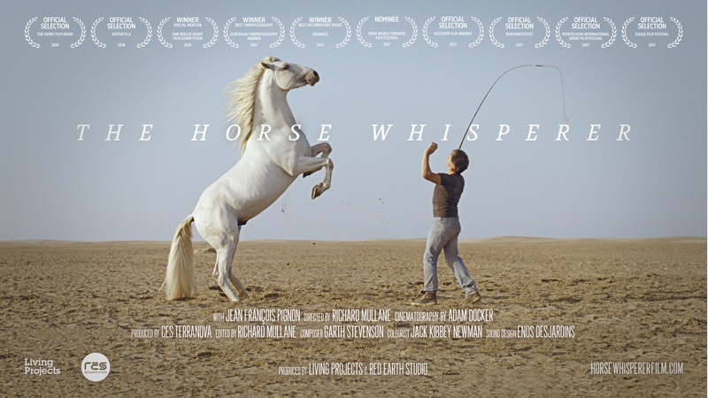 image for The Horse Whisperer