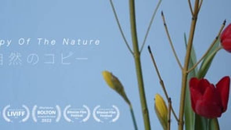 image for Copy Of The Nature