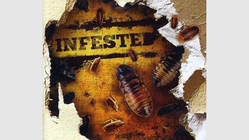 image for Infested III