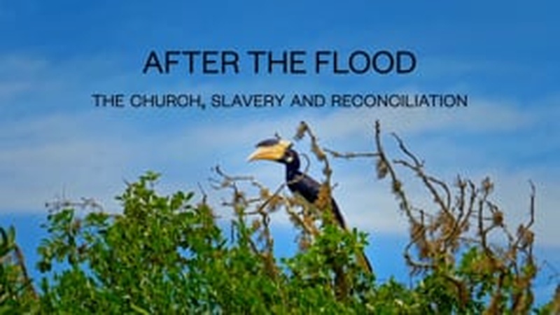image for After the Flood: The Church, Slavery & Reconciliation