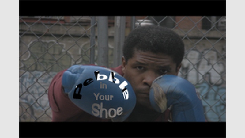 image for Pebble in your Shoe