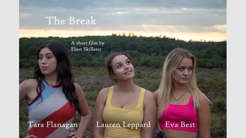 image for The Break