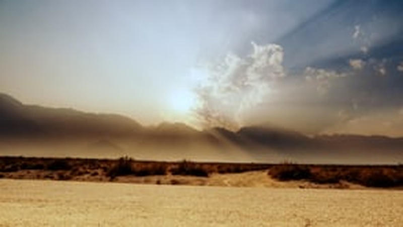 image for Ashes On The Highway