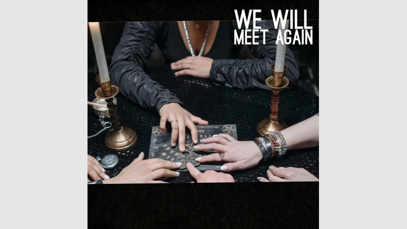 image for We Will Meet Again