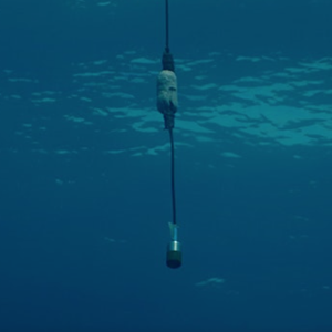 Image for The Sea: Short Film Programme + Q&A + Live Music (Glasgow)